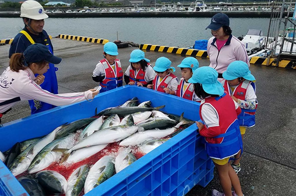 幼稚園生が水揚げされたぶりを見ている様子