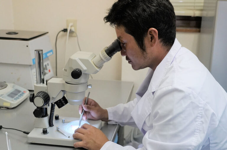 検査している様子