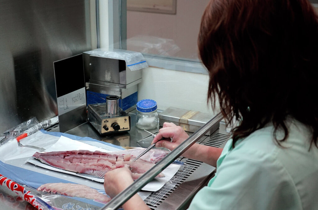 国際認証の取得