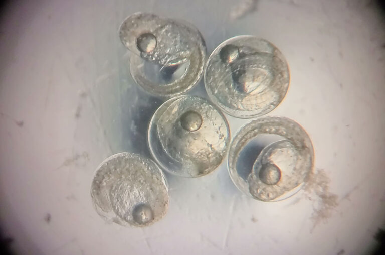 検査している様子